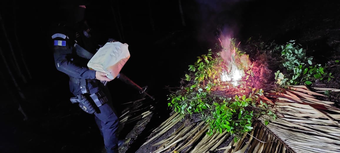Destruyen casi 18 mil plantas de coca en Guatemala