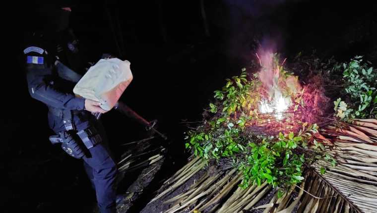 Ejército y PNc destruyen plantación de cocaína en Guatemala. (Foto Prensa Libre: Ejército de Guatemala)
