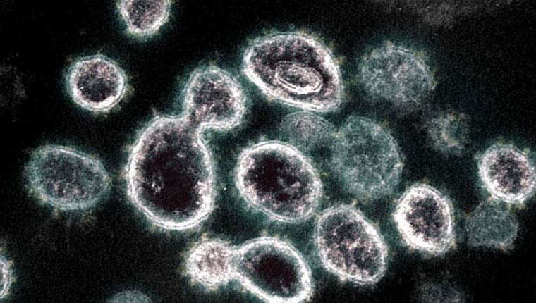 Ómicron: variante del coronavirus hace más difícil diferenciarla de un resfriado común o gripe