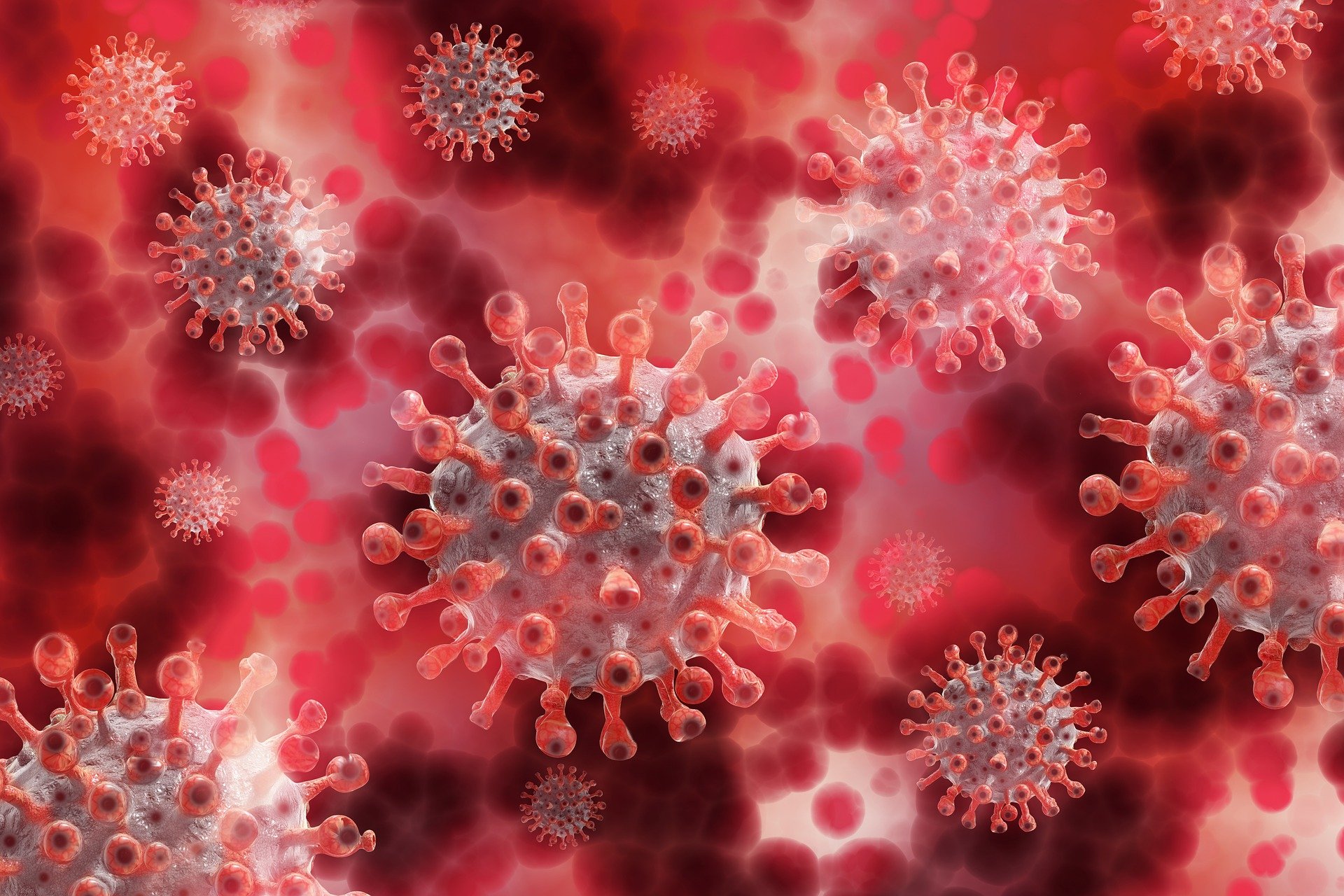 EE. UU. reduce a la mitad tiempo de aislamiento por infección de coronavirus. (Foto Prensa Libre: Pixabay)