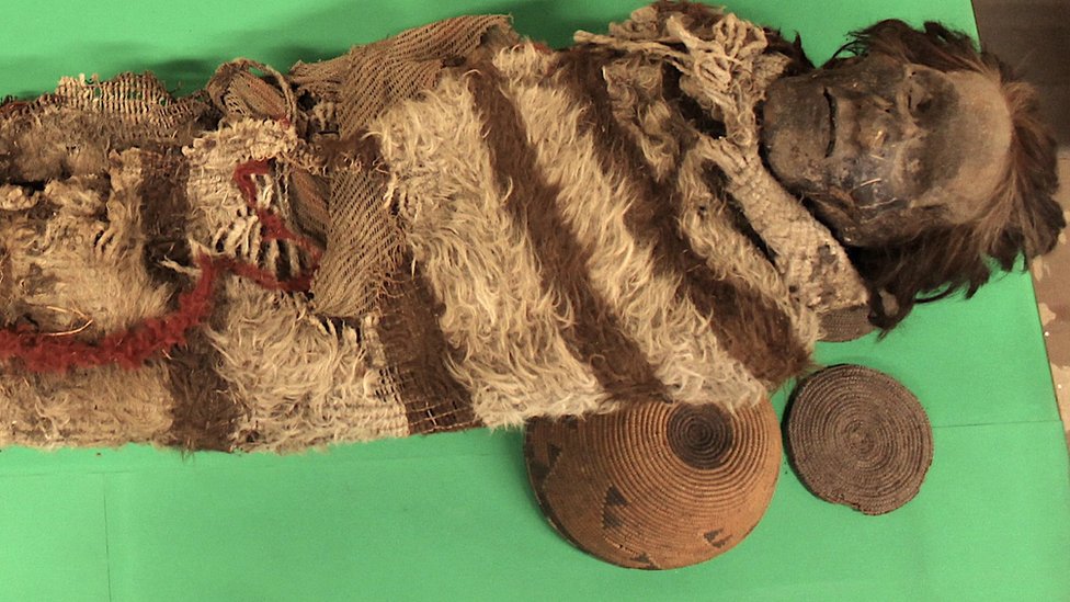 Lo que los piojos de las momias revelan sobre las poblaciones de Sudamérica de hace 2.000 años