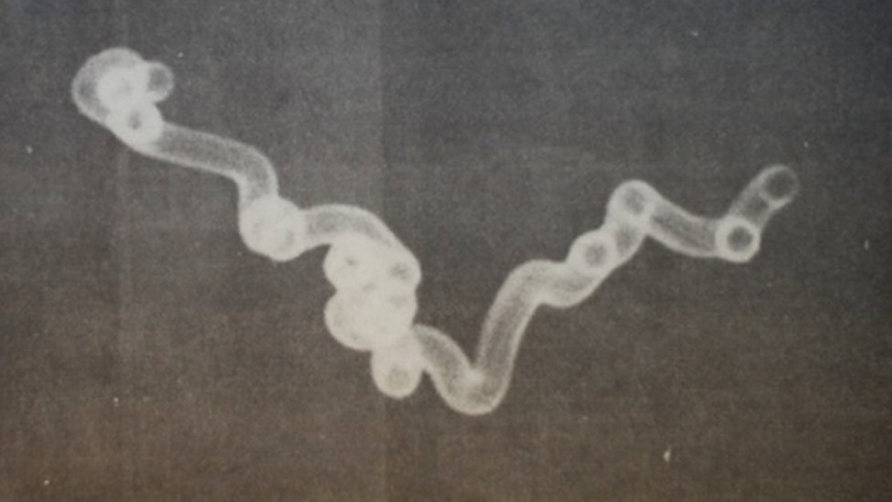 Registro de un supuesto ovni captado por el fotógrafo Adenir Britto. (ACERVO JACKSON CAMARGO)