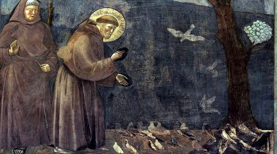 Historias de santos que eran amigos de los animales