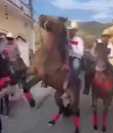 Momento en que un caballo golpea a cantante en desfile hípico en Santa Rosa. (Foto Prensa Libre: Santa Cruz TV)