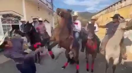 Video: caballo golpea fuertemente en el rostro a cantante durante desfile hípico en Santa Rosa