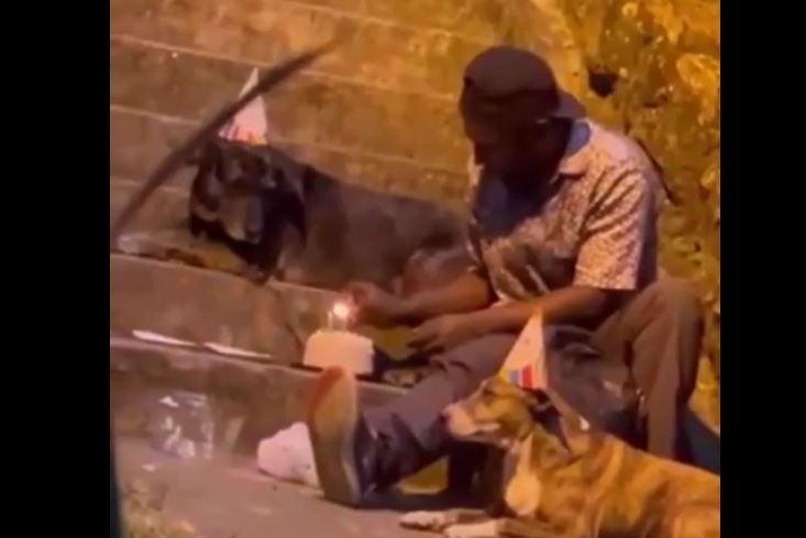 Video: La conmovedora historia del hombre en condición de calle que les celebró el cumpleaños a sus perros
