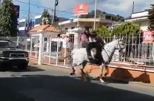 Videos: Jinetes pierden el control de sus caballos en desfiles hípicos y terminan en el pavimento