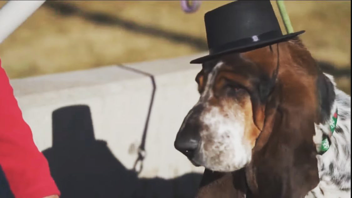 Murdoch estará en su puesto durante dos años.  (Foto Prensa Libre: @historic_littleton_inc)