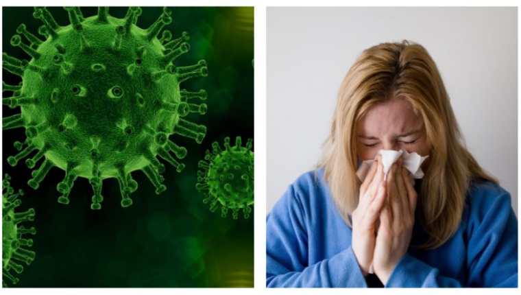 Le llaman Flurona por la combinación de los nombres de los virus en inglés (“Flu” y “Coronavirus”). (Foto Prensa Libre: Pixabay)