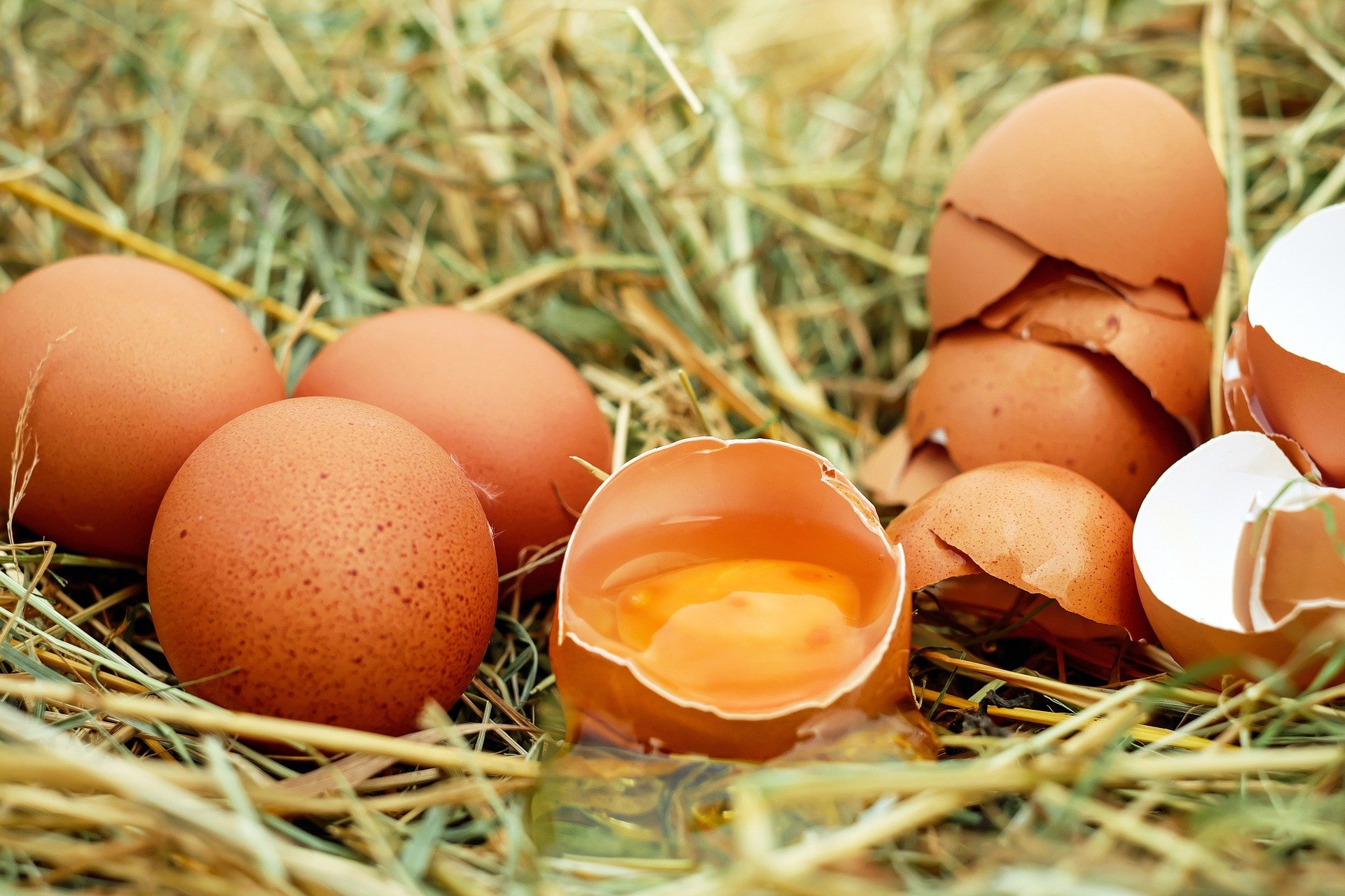 Mujer halla huevo con la clara roja. (Foto Prensa Libre: Pixabay)