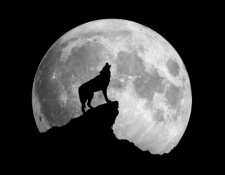 La llamada "Luna del Lobo" da su espectáculo todos los meses de enero. (Foto: Hemeroteca PL)