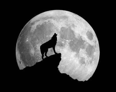 Primera luna llena de 2022: cuándo ver la “Luna del Lobo” y por qué se llama así