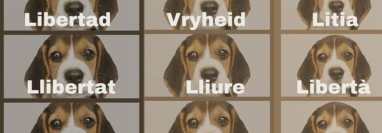 Laboratorio amenaza de sacrificio de 38 cachorros Beagle.
(Foto prensa Libre: instagram.com/sin_experimentacion_animal)