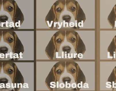 El polémico caso del laboratorio que busca experimentar y sacrificar a 38 cachorros Beagle
