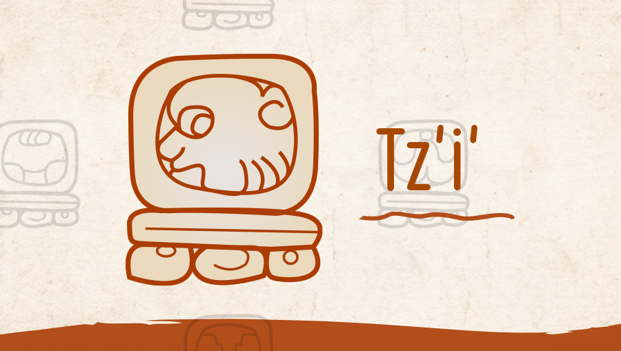 Tz’i’: Nahual maya según fecha de nacimiento y su significado