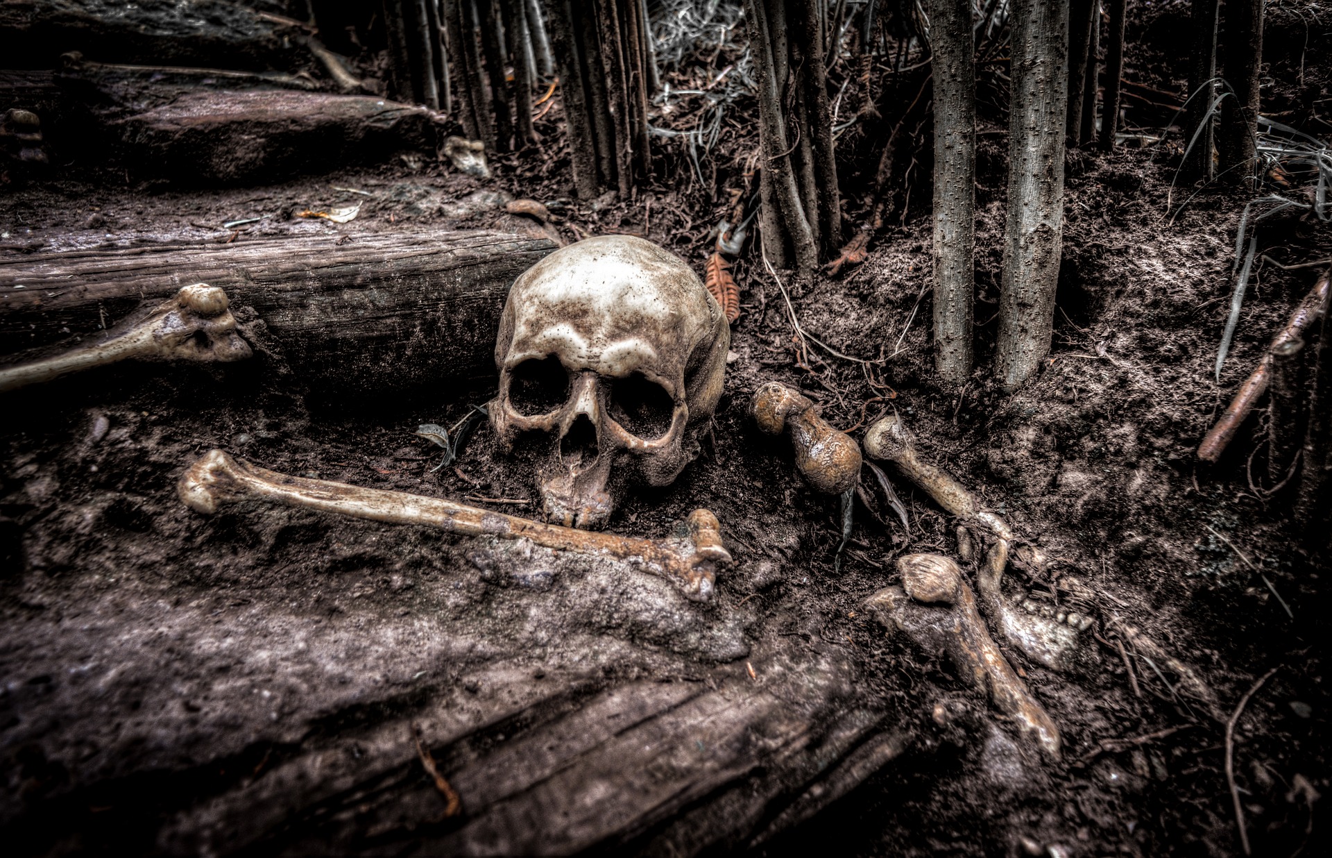 Restos hallados en un pueblo de Ecuador revelan la posible existencia de humanos gigantes. (Foto Prensa Libre: Pixabay)
