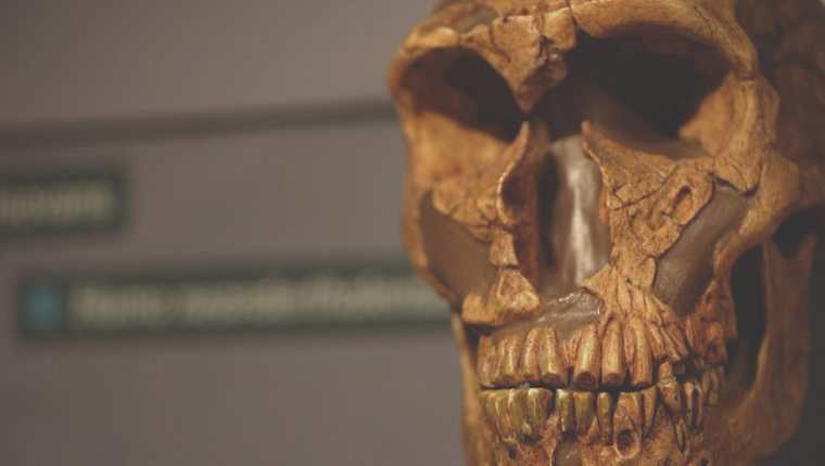 Los neandertales poblaron Europa durante cientos de miles de años hasta que se extinguieron hace 40.000 años.