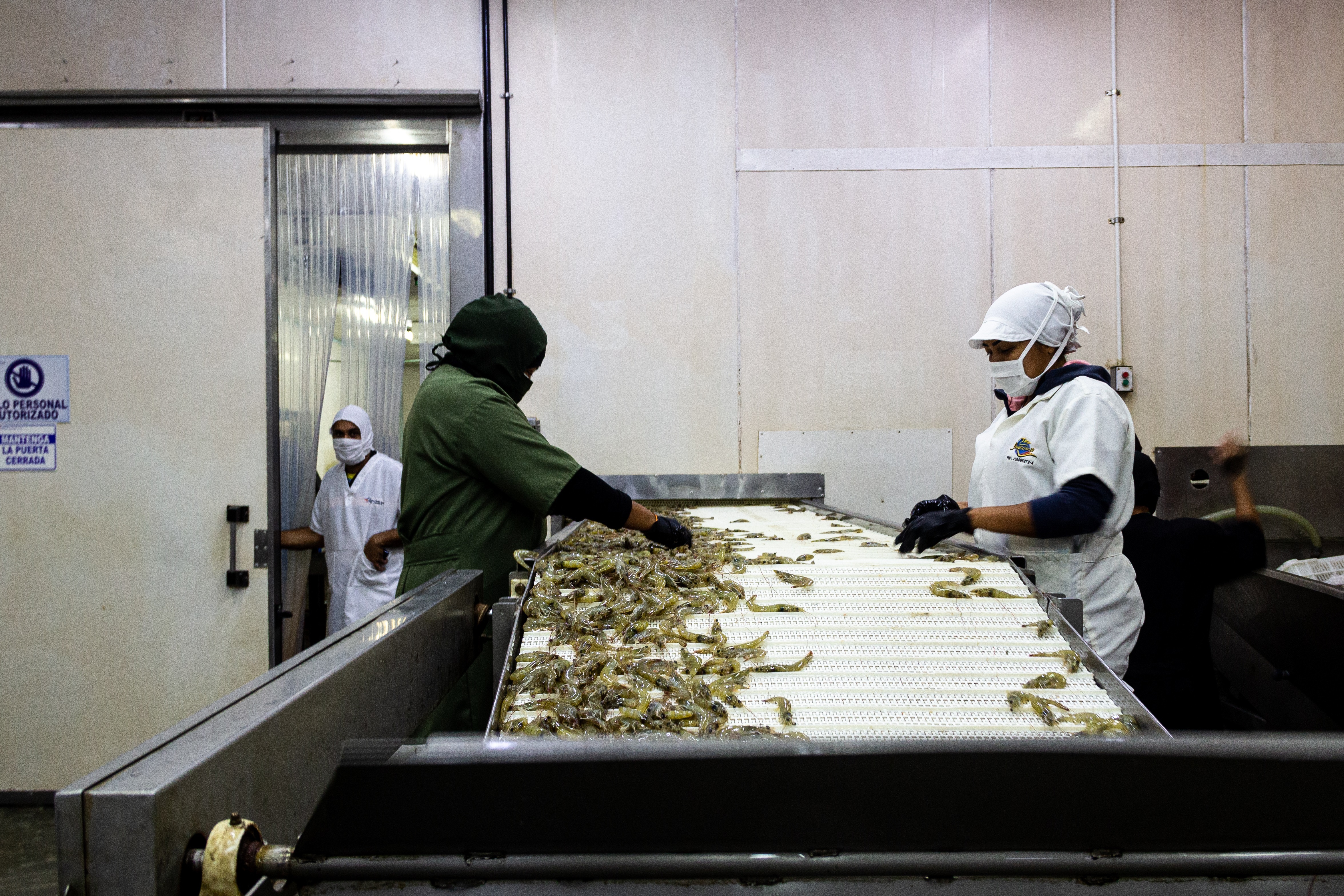 Un acuerdo comercial ya permite el libre intercambio de 774 productos con un país sudamericano, por lo que se analiza la negociación de un TLC ¿de cuál se trata?