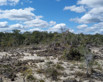 Qué es “El desierto”, un ecosistema único en el país y que está ubicado en la Reserva de la Biosfera Maya