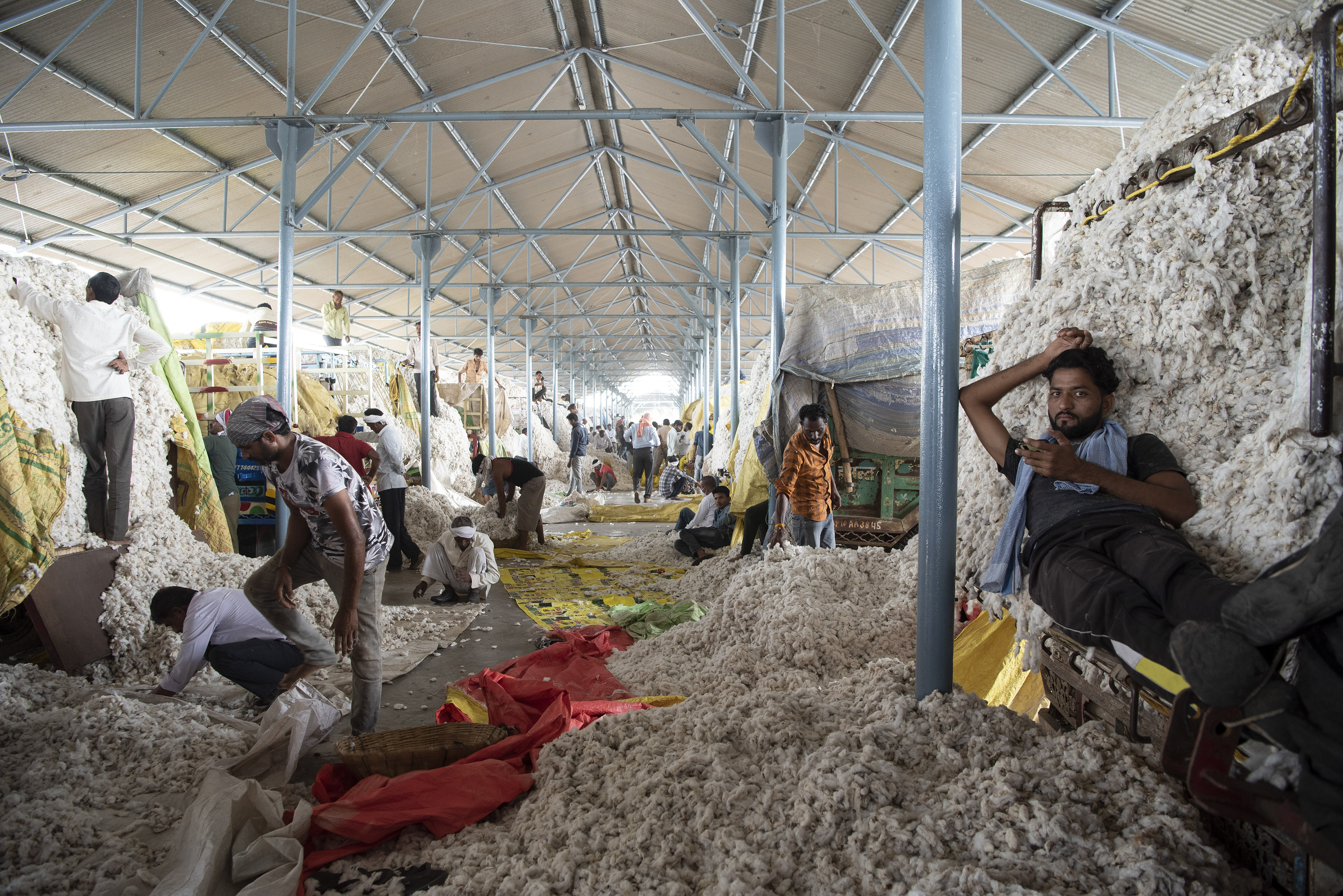 FAlgodón orgánico cosechado en las instalaciones de bioRe, formada por dos empresas suizas, en Kasrawad, India, el 22 de octubre de 2021. (Saumya Khandelwal/The New York Times).
