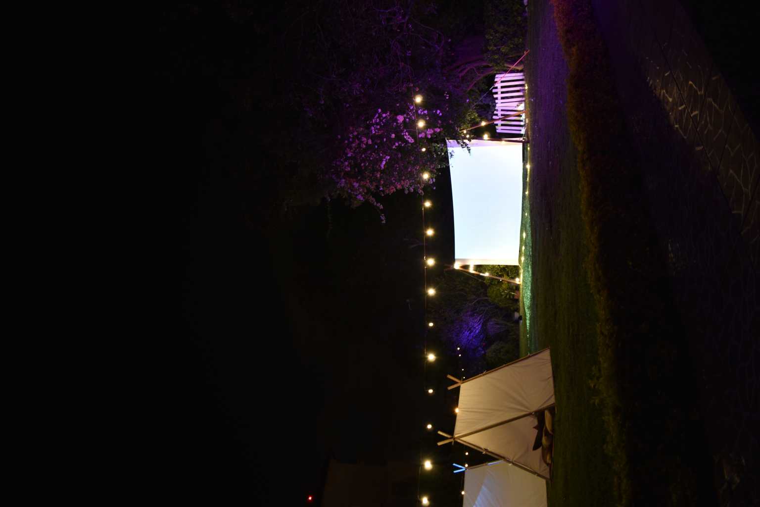 Celebrando el amor, una cita especial y diferente