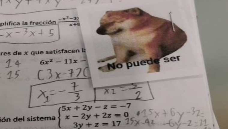 Maestro calificó con memes las exámenes de sus estudiantes. (Foto Prensa Libre: Tomada de _antuan1)
