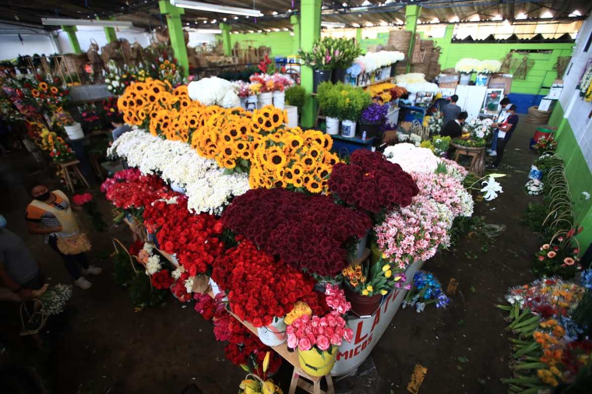 Vendedores de flores se preparan para la celebración del día del cariño