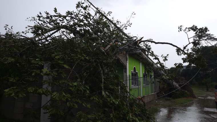Daños provocados por tornado que se registró en Morales, Izabal el domingo 13 de febrero. (Foto Prensa Libre: Conred)