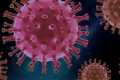 Coronadengue: qué se sabe del caso de infección simultánea de covid y dengue (y cuáles son los síntomas)
