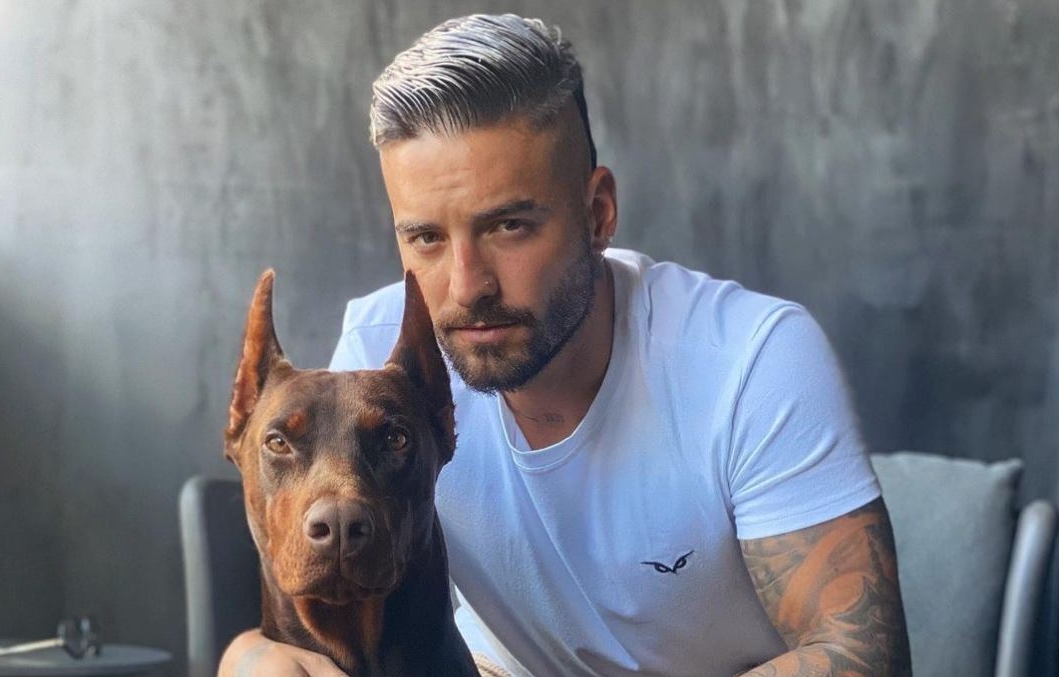 Perro de Maluma