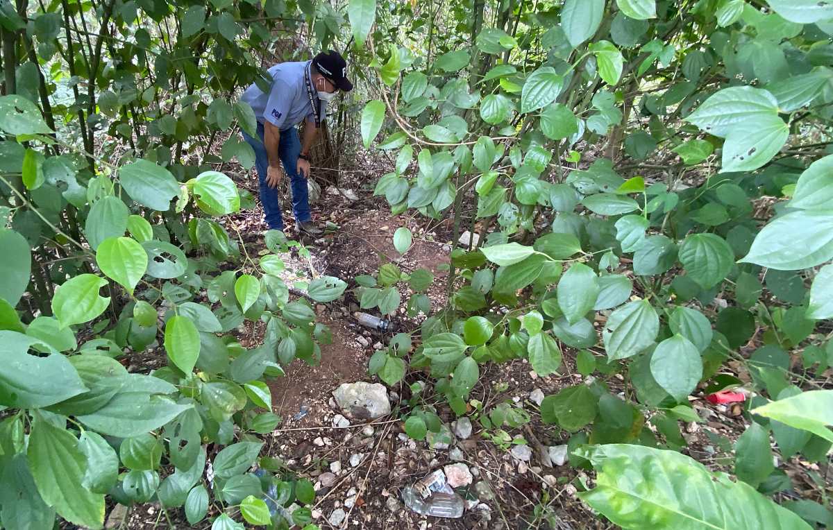 El tétrico hallazgo de cadáveres en una fosa en Cancún que estaría vinculado al CJNG