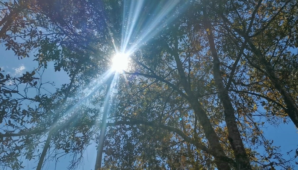 Radiación solar, bruma y lluvia con granizo: los pronósticos del Insivumeh para las próximas horas en Guatemala