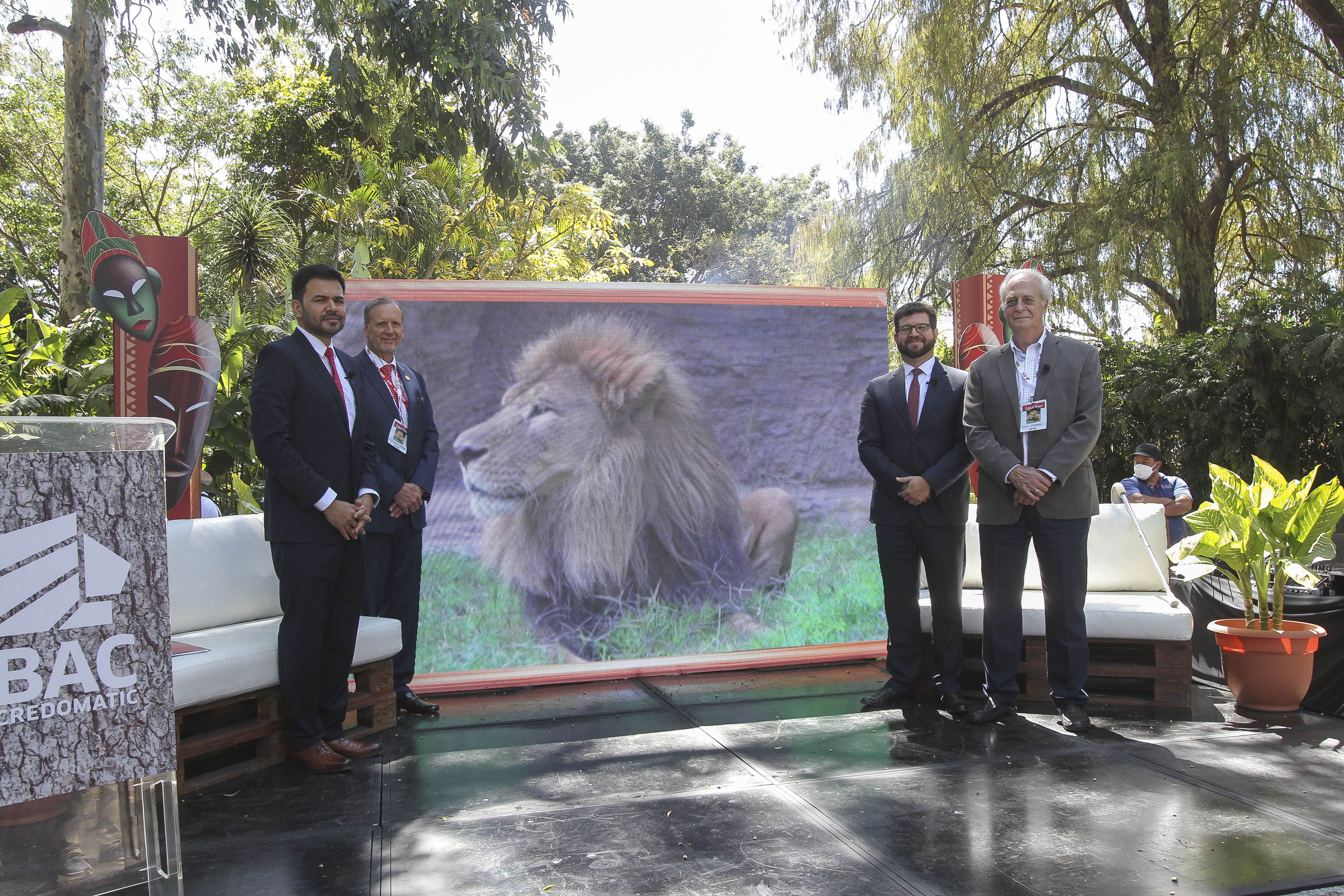 Bac Credomatic apoyará con la remodelación del recinto de los leones en el Zoológico La Aurora. Foto Prensa Libre: Norvin Mendoza