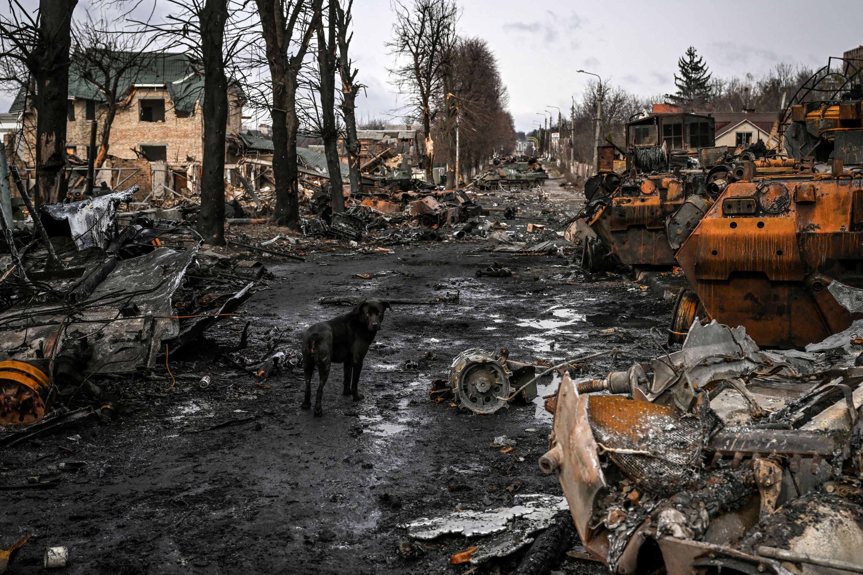 Destrucción en Ucrania por la invasión de Rusia. En la imagen un tanque ruso destruido en el conflicto. (Foto Prensa Libre: AFP)