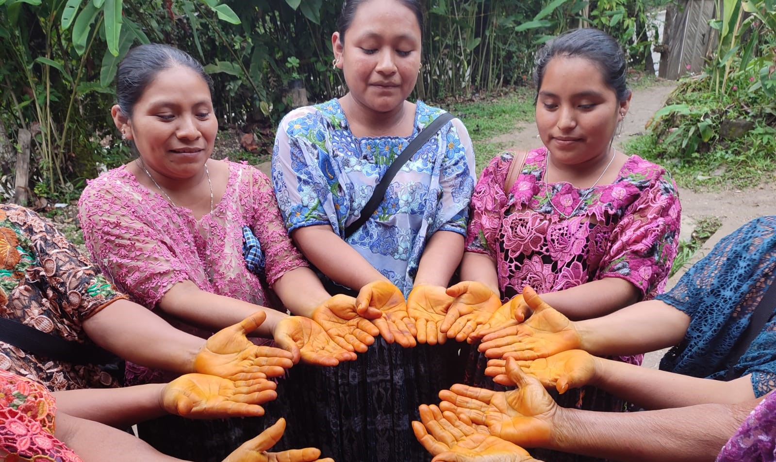 Tuq'tuquilal Lanquín Alta Verapaz