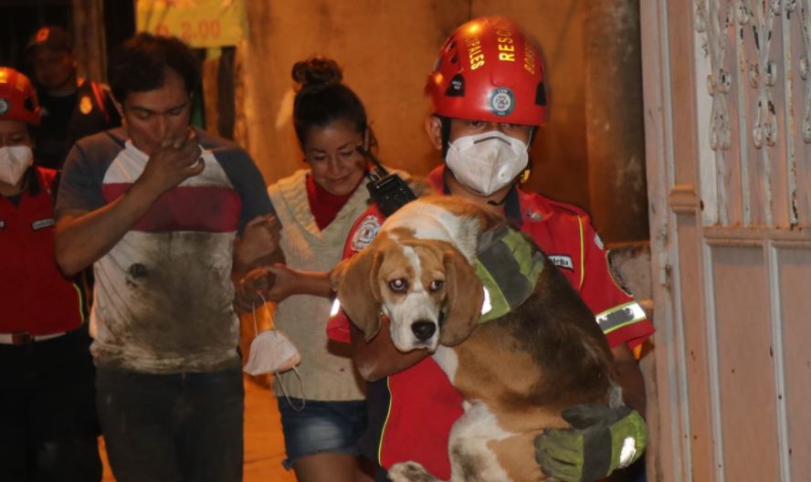 HOMBRE Y PERRO RESCATADOS EN LA ZONA 18