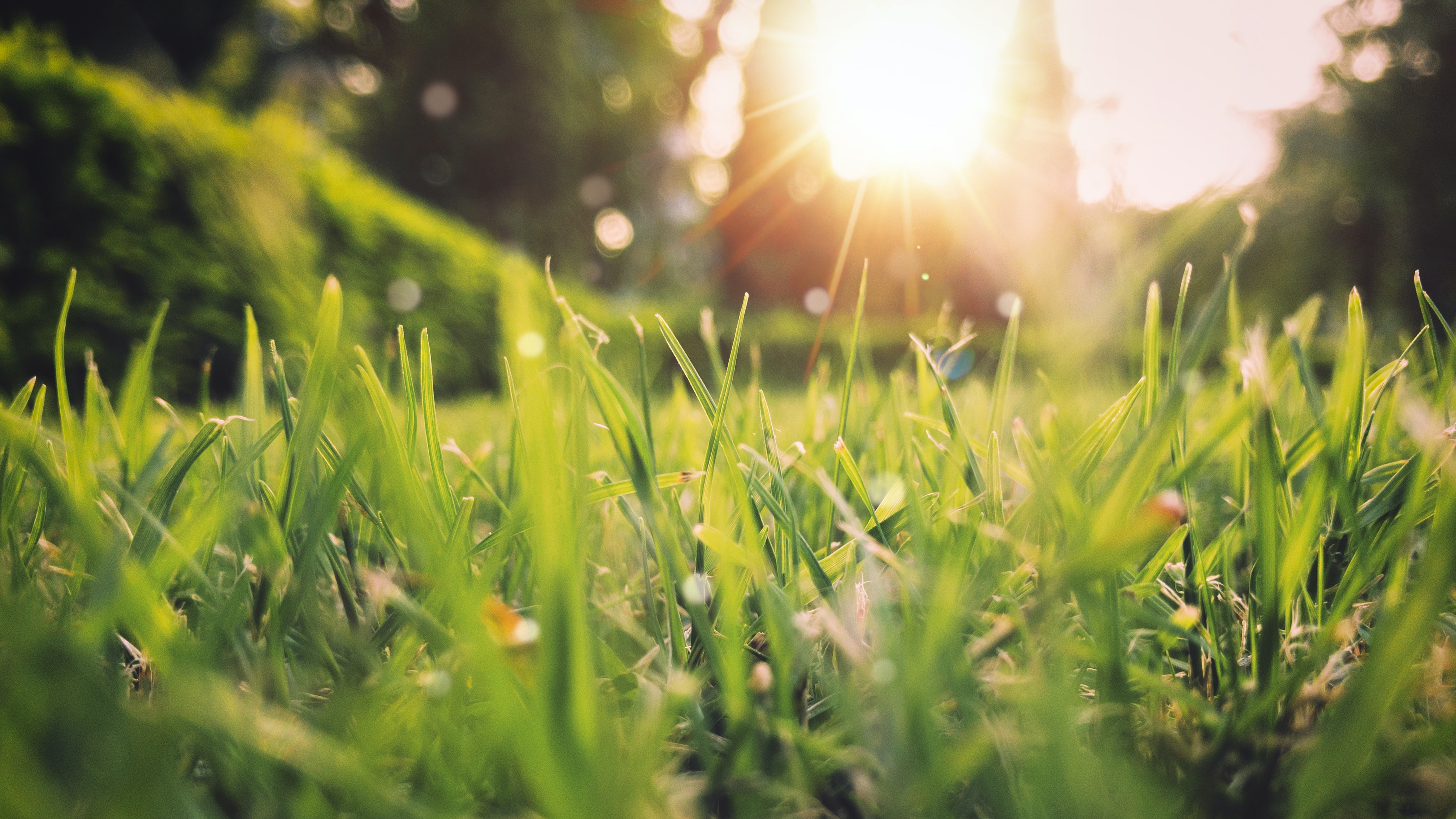 ¿Qué es el equinoccio de primavera y cuándo sucederá este año?