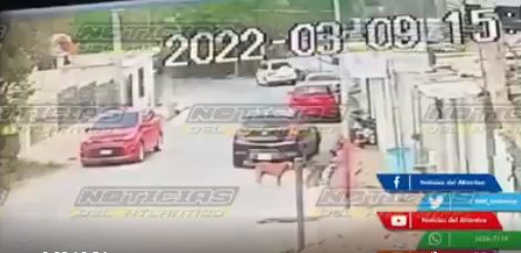 Video: el momento en que sujetos asaltan a varios niños frente a sus viviendas