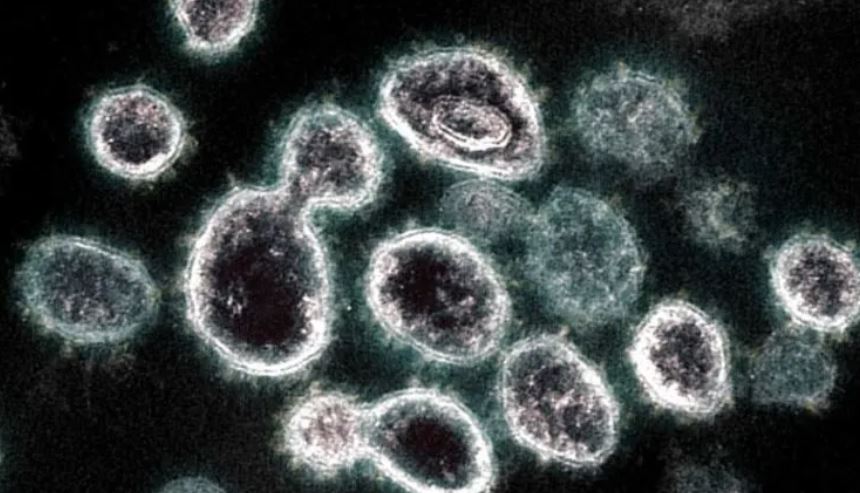 Qué se sabe sobre el descubrimiento de una variante “desconocida” del coronavirus que combina BA.1 y BA.2