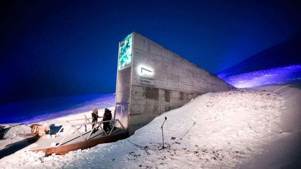 El Banco Mundial de Semillas de Svalbard se encuentra en el Ártico.