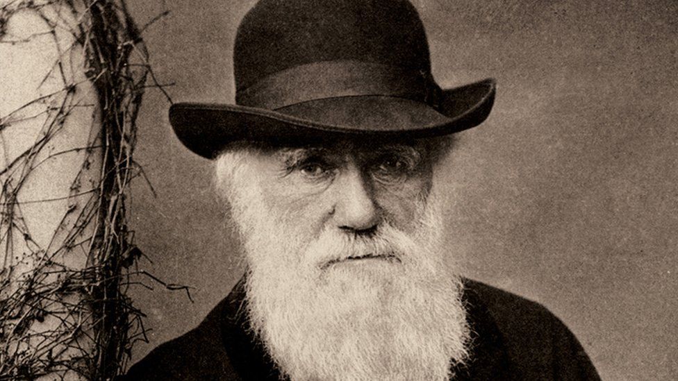 Charles Darwin Teoría de Evolución