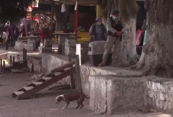 El momento de la diligencias de las autoridades para atrapar al perro que atacó a Gina Morataya en Amatitlán. (Foto Prensa Libre: Cortesía Bomberos Voluntarios)