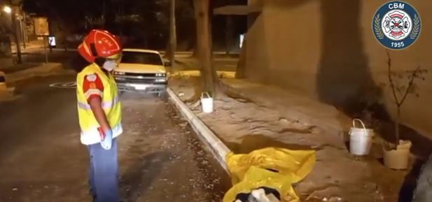 HALLA CADÁVER EN LA ZONA 4