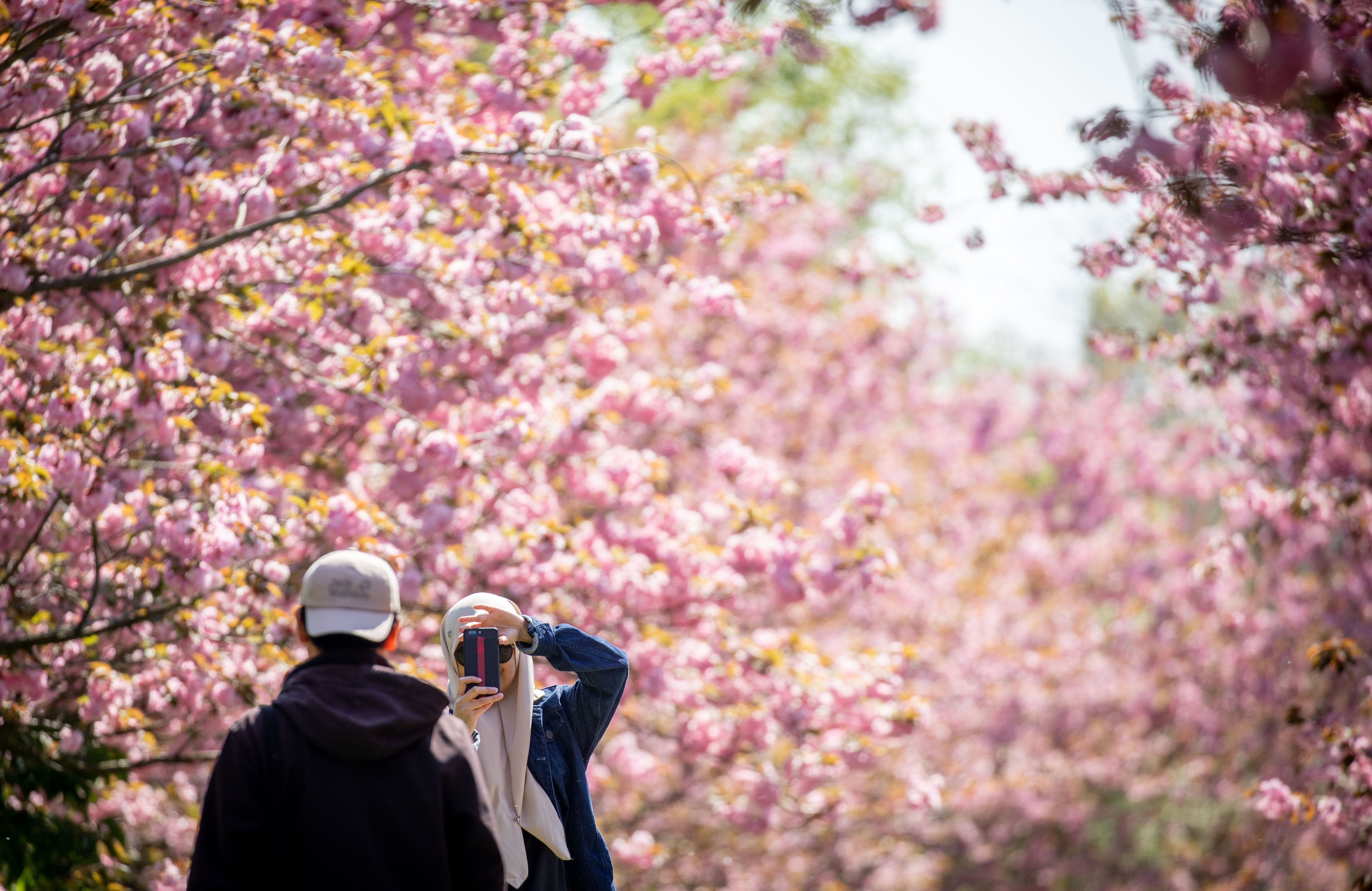 ¿Hace falta fotografiar todo? Consejos para disfrutar de los viajes