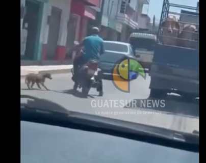 Video muestra el maltrato que sufrió un perro por parte de motorista