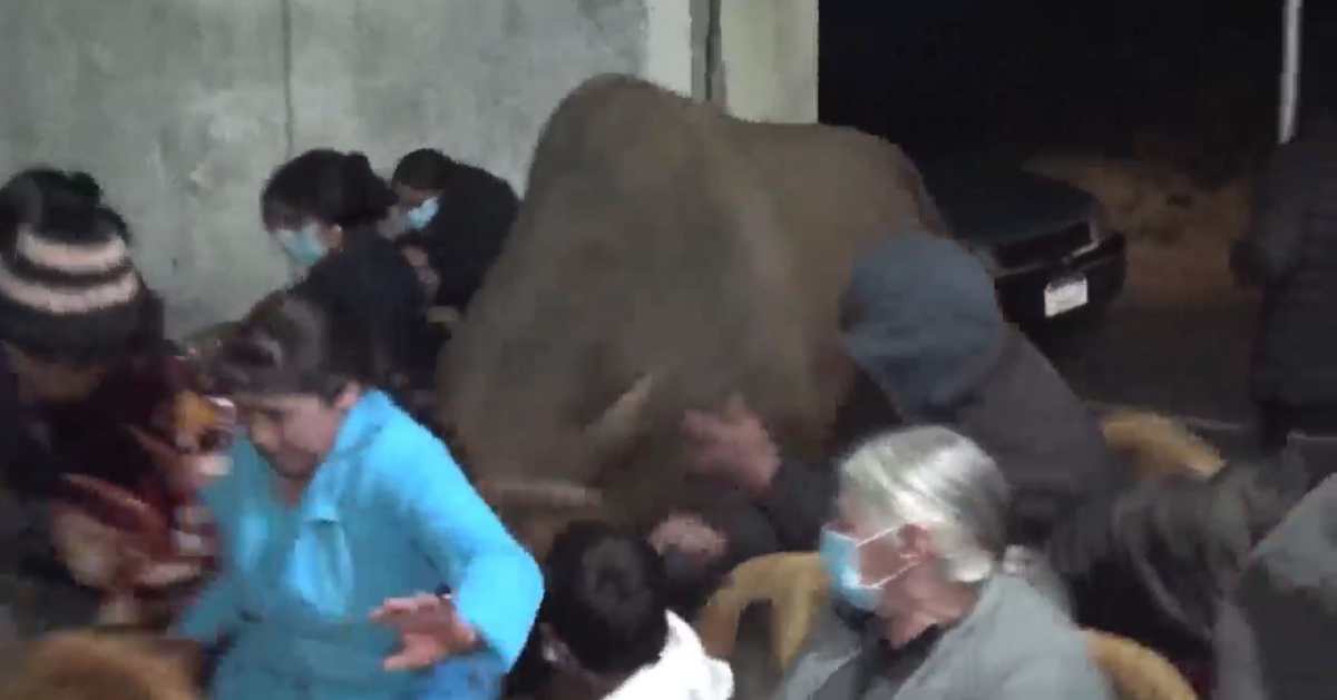 Video: toro enfurecido irrumpe en velorio de una mujer en San Carlos Sija y embiste a varios de los asistentes