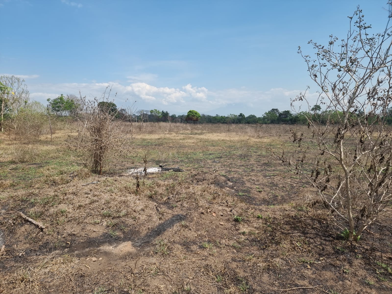 En este terreno ubicado en el municipio de Masagua, Escuintla, planea el Ministerio de Gobernación, construir una cárcel de máxima seguridad usando los fondos de un préstamo con el Banco Centroamericano de Integración Económica. Foto Mingob.