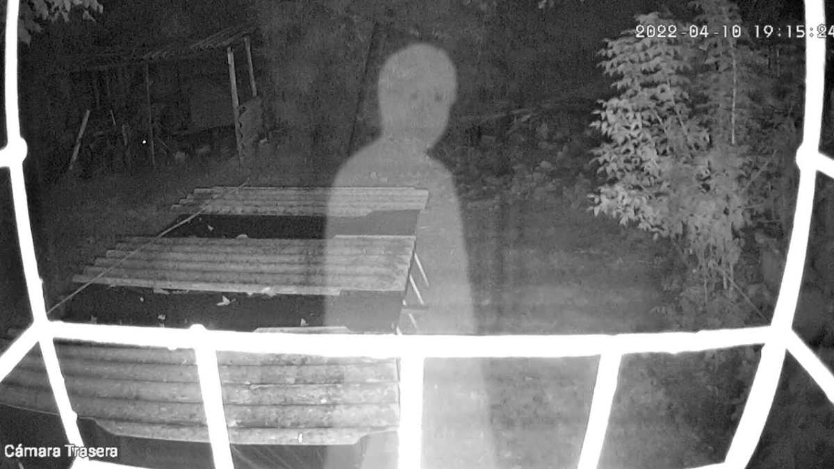 El video con el que joven asegura que un fantasma se apareció en su casa (y las teorías sobre el extraño movimiento)