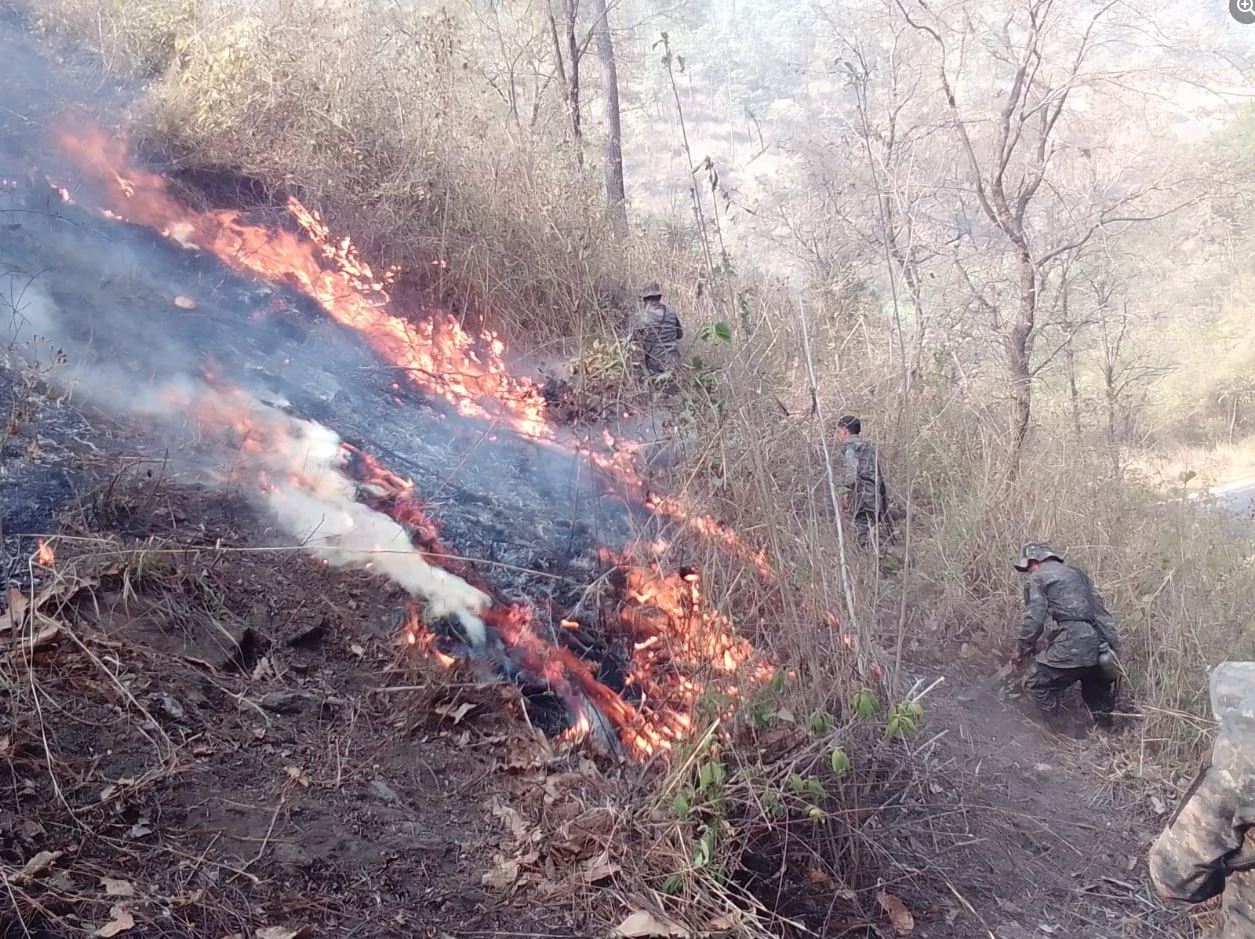 Incendio forestal del kilómetro 137 RD-17, aldea El Cacao San Jerónimo, Baja Verapaz. (Foto Prensa Libre: Conred)