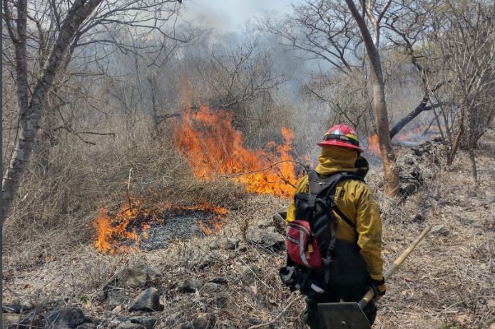 incendios forestales